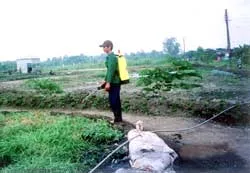 Đi thì dở, ở không xong