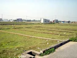 TP Hồ Chí Minh: Nhạc trưởng quy hoạch, anh ở đâu?