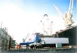 Cần xử lý ô nhiễm bụi, mùi hôi tại chợ Kho 11 (quận 4)