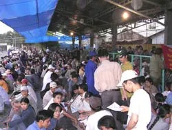 Sự cố “sập mạng” đã được khắc phục