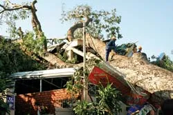 Kinh hoàng bão Durian ảnh 3