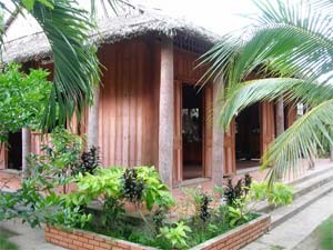 Going completely nuts in Ben Tre ảnh 1