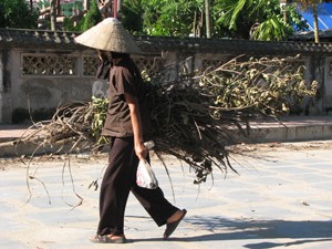 Aimless Wanderings Unearth Hidden Treasures ảnh 1