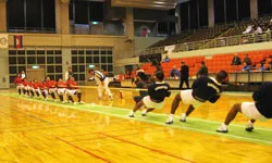 Bước đầu hội nhập ảnh 1