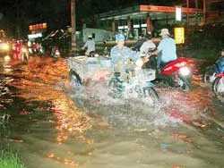 24 giờ đường dây nóng