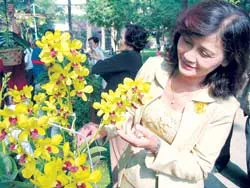 40 nghệ nhân tham gia thi hoa lan