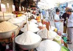 Hương gạo cuối năm