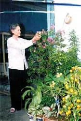 Với tuổi xuân dũng cảm kiên cường
