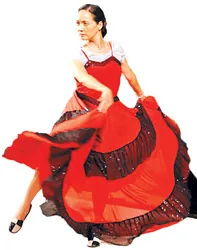 Nhà văn Đoàn Phú Tứ, người dịch kịch H.Ibsen nhiều nhất ảnh 2