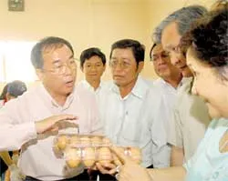 Sớm di dời hộ dân chung cư Cô Giang và 727 Trần Hưng Đạo