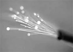 Những kỷ lục thú vị năm 2006