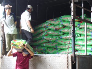 Demand for fertilizer is forecast to decline for the 2009 winter-spring crop (Photo: H.Y.)