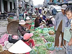 Vẫn chưa ổn định được kinh doanh