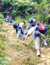 Lên nóc nhà Đông Dương ảnh 3