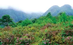 Lên nóc nhà Đông Dương ảnh 2