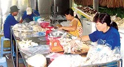 Ước mơ “lên đời” nấm Việt ảnh 2