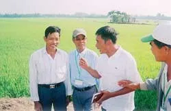 Tin vui từ ấp 4