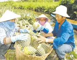 Gắn với việc xây dựng nông thôn mới