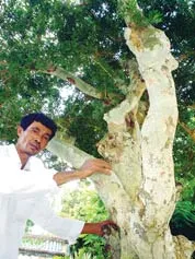 Từ Làng... đến Phố ảnh 6