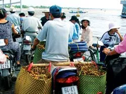 Từ Làng... đến Phố ảnh 3