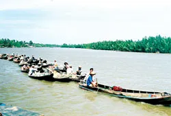 Biển lành, cua hội