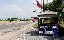 Mỗi ngày có khoảng 450 con gia cầm vào TPHCM qua “ngõ” Long An