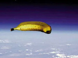 Lá thư nửa thế kỷ mới đến