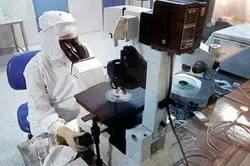 Ủng hộ nghiên cứu tế bào gốc