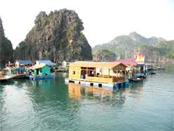 Vịnh Hạ Long… loạn nhà bè!