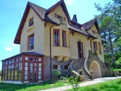 Bức tranh loang lổ