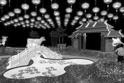 Một hoạt động mang đậm tính nhân văn ảnh 3