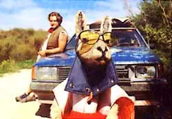 Liên hoan Phim Australia 2007 ảnh 2