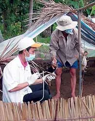 Trên kiên quyết, dưới lơi lỏng