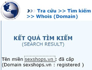A search result for ‘sex’ finds sex domain names, such as sexshops.vn (Photo: Lao Dong Newspaper)