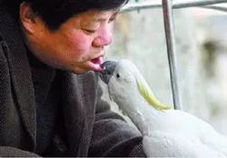 Vẹt nghiện... hôn chủ