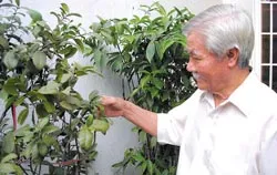 CỰU TUYỂN THỦ NGUYỄN NGỌC THANH: “TÔI RẤT MONG VIỆT NAM VÔ ĐỊCH AFF CUP LẦN NÀY” ảnh 2