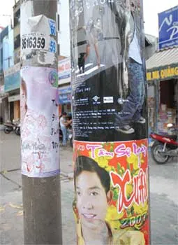 Ca sĩ… tiếp thị ? ảnh 2