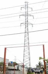 Tình trạng đáng báo động tại Bình Chánh