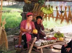 Hài “Tửu - sắc” tuyên chiến với đĩa lậu