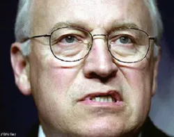 Cựu Phó Tổng thống “chê” Phó Tổng thống ảnh 2