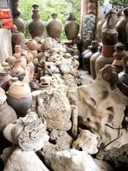 Dưới đáy sông Hương có san hô hóa thạch