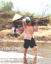 Sau lũ ống là lũ… AIDS