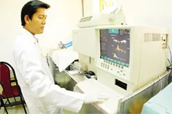 Tại sao có 2 nhóm bệnh tiểu đường?