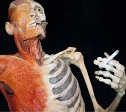 Tuyên chiến với thuốc lá