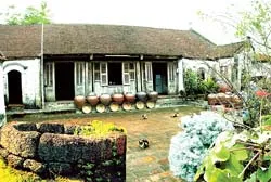 Nơi vẫn đợi ta về ảnh 3