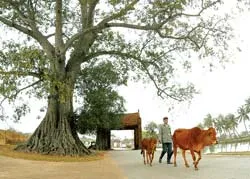 Nơi vẫn đợi ta về