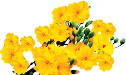 Cùng nhau làm kinh tế