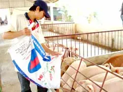 Giải pháp toàn diện để cung cấp thực phẩm an toàn