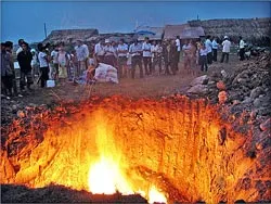 Đối phó bệnh lở mồm long móng ở Bình Chánh-Ngưng nuôi đàn heo mới