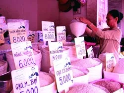 ĐBSCL: Cận Tết, gạo thơm tăng giá, hút hàng